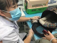 -纳吉亚猫专科动物诊疗中心(蒋宅口分院)