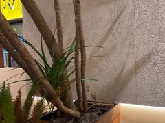 -屋里饭菜·湘菜馆(火车站店)