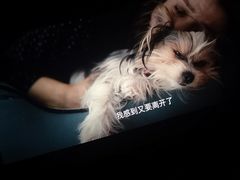 -幸福蓝海影城(上海闵行日月光中心杜比全景声店)