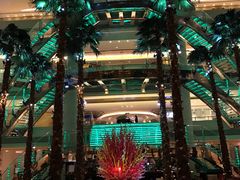 景观位-威斯汀舞台餐厅