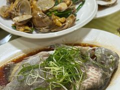 -老字号蛇口德记烧腊饭店·海鲜加工