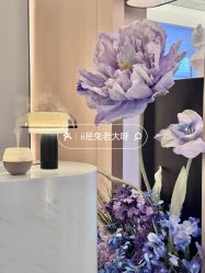 -蘭FACE·海菲秀飞顿Med SPA