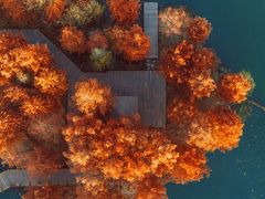 -梁鸿国家湿地公园