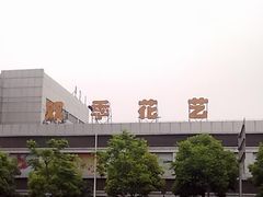 门面-双季花艺园艺市场(浦东店)