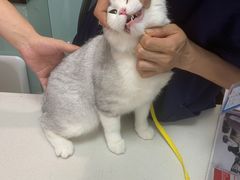 -中农大我爱我爱动物医院·核磁CT·猫病·24小时夜诊中心(石佛营店)