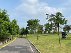 -广富林郊野公园