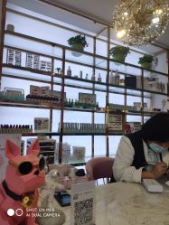 -MY WAY SALON