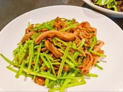 野山椒芫爆肚丝-湖里春风·淮扬菜(丽泽天街店)