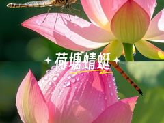 -荔湾湖公园