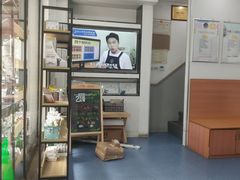 -伟伟宠物医院·CT影像中心·瑞派犬猫综合性门诊(汉口总院)