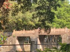 -晓港公园