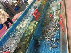 -阳光海鲜大排档