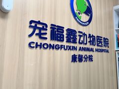-宠福鑫康馨动物医院·骨科·眼科