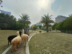 -灵玲国际马戏城