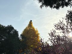 -西安市广仁寺