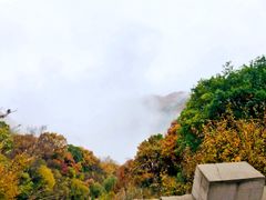 -白草畔自然风景区