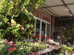-溪岸路花鸟市场