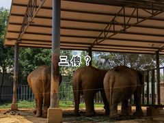 -东莞香市动物园