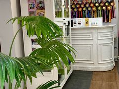 -青奢宠物·青奢猫舍