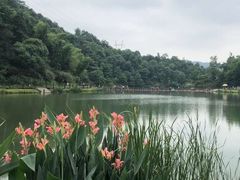 -梅岭月亮湾山体公园