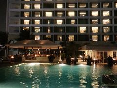 -新加坡文华东方酒店