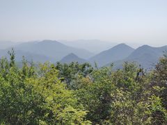 -午潮山国家森林公园