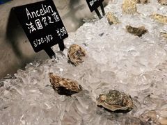 -Oyster Talks 四度蚝法餐厅