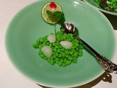 -西郊5号·Maggie 5