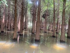 -捞渔河湿地公园