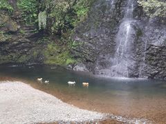 -龙苍沟森林公园