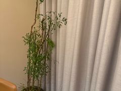 -羊门客在·烤盐池滩羊·川菜