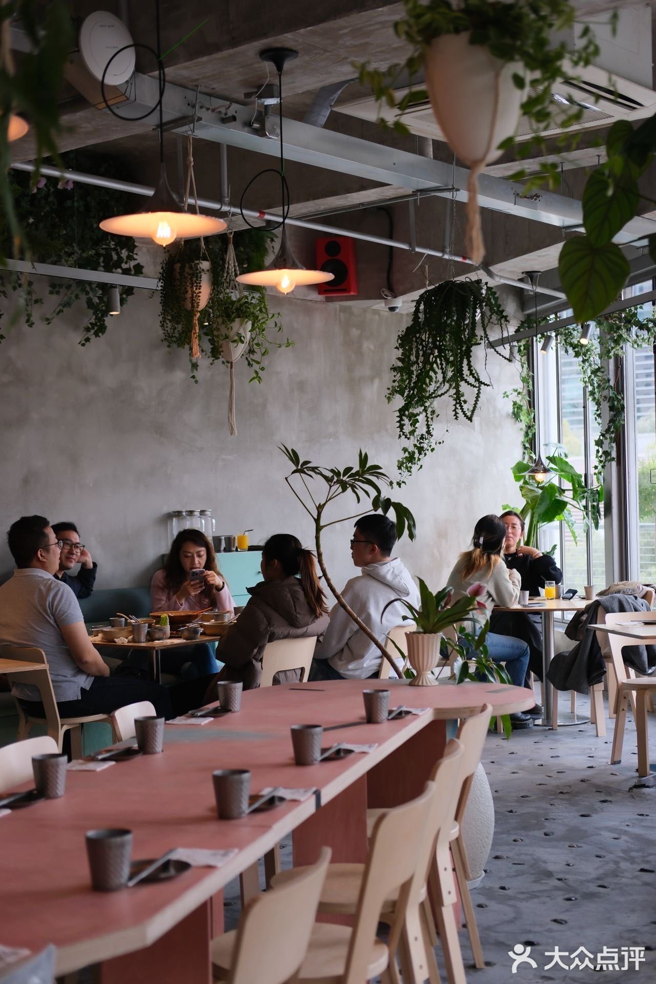 在上海！jujuju漂亮的花园窗景餐厅！