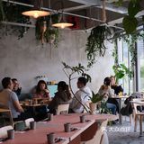 在上海！jujuju漂亮的花园窗景餐厅！