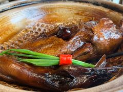 -老燕皇·南京菜(玄武湖店)