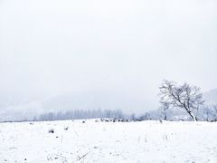 -硗碛藏寨·神木垒景区