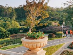 -东莞植物园