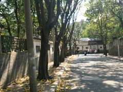-金鸡山公园