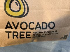 -油梨树 AVOCADO TREE(亮马桥店)