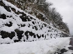 -武陵山森林公园