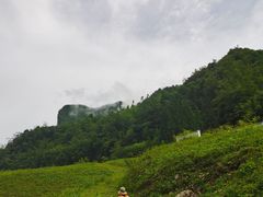 -鹿院坪生态旅游景区