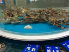 -金海湾海鲜总店