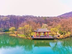 -紫霞湖公园