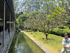 -南宁荔园维景国际酒店·荔园中餐厅