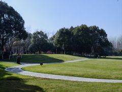 -合肥滨湖国家森林公园