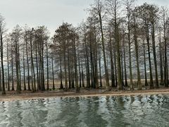 -四明湖