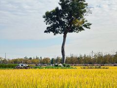 -嘉北郊野公园