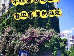 -东花市北里中区