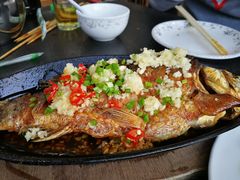 -老黑板筋(顺义总店)