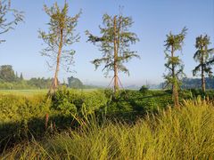 -中国天府农业博览园