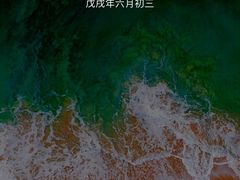 -金强牛肉面总店